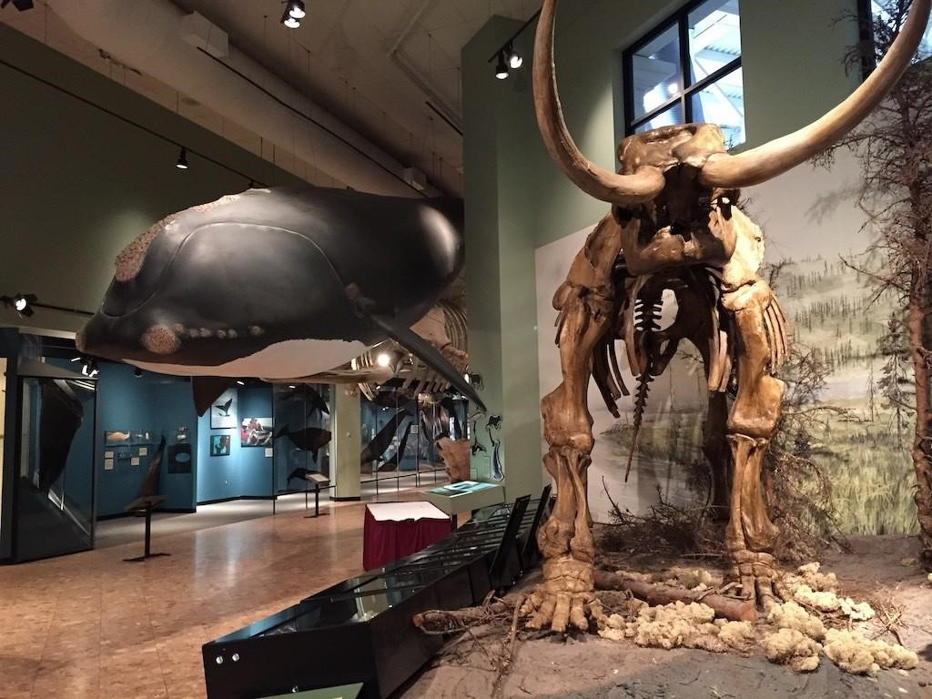 New Brunswick Museum, Saint John, NB