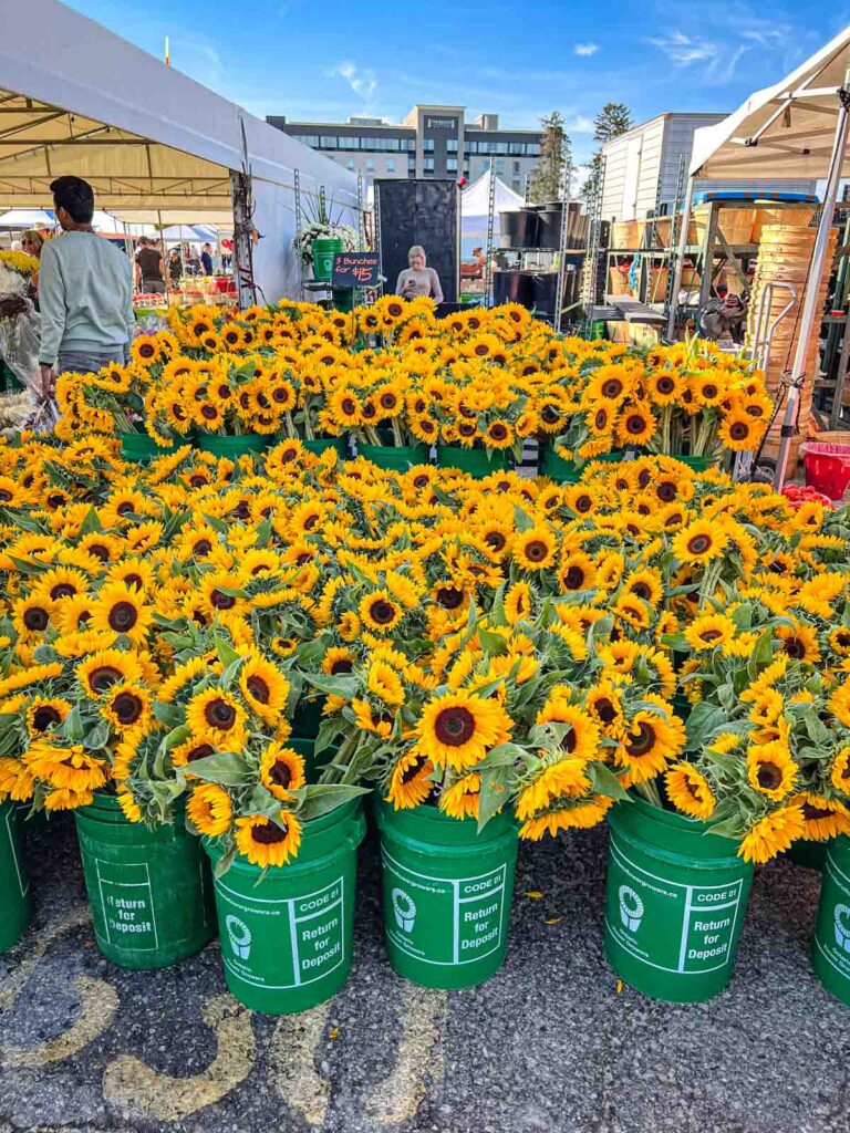 Colorful produce at a farmers market