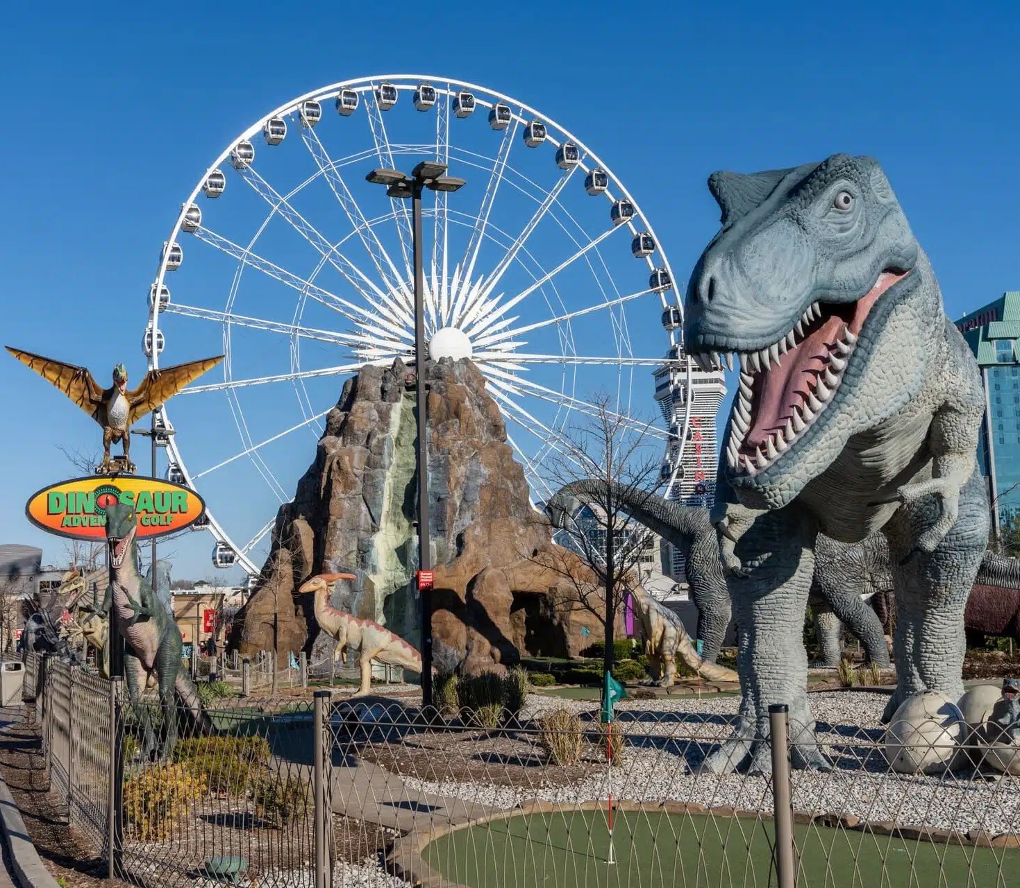 Forest road in rural Ontario