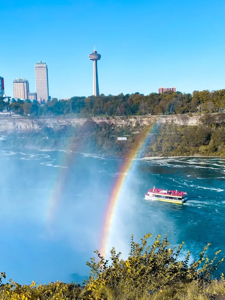 Forest road in rural Ontario