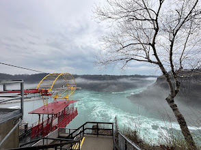 Forest road in rural Ontario